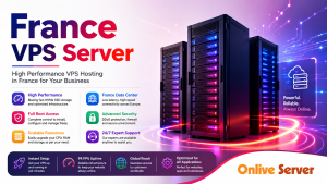 Few Important things you need to know about France VPS Hosting