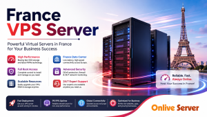 France VPS Server – Needs of Growing Website in The IT Sector