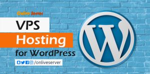 Upgrades Your Business Skills with VPS WordPress Hosting