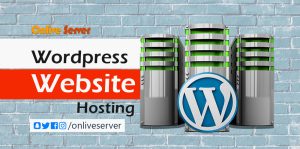 Get WordPress Website Hosting on Your Budget from Onlive Server